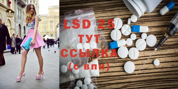 крисы Покачи