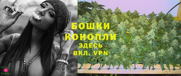 прущая мука Пересвет