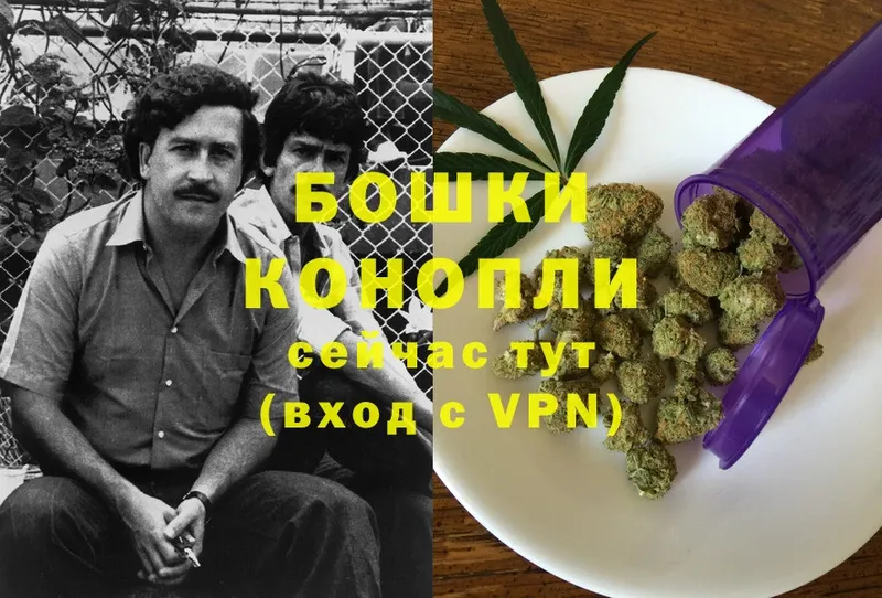 Конопля White Widow  где найти   Знаменск 