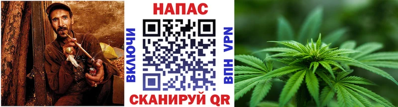 Шишки марихуана Amnesia Знаменск